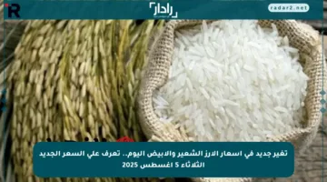 تغير جديد في أسعار الأرز الشعير والأبيض اليوم.. تعرف على السعر الجديد الثلاثاء 5 أغسطس 2025